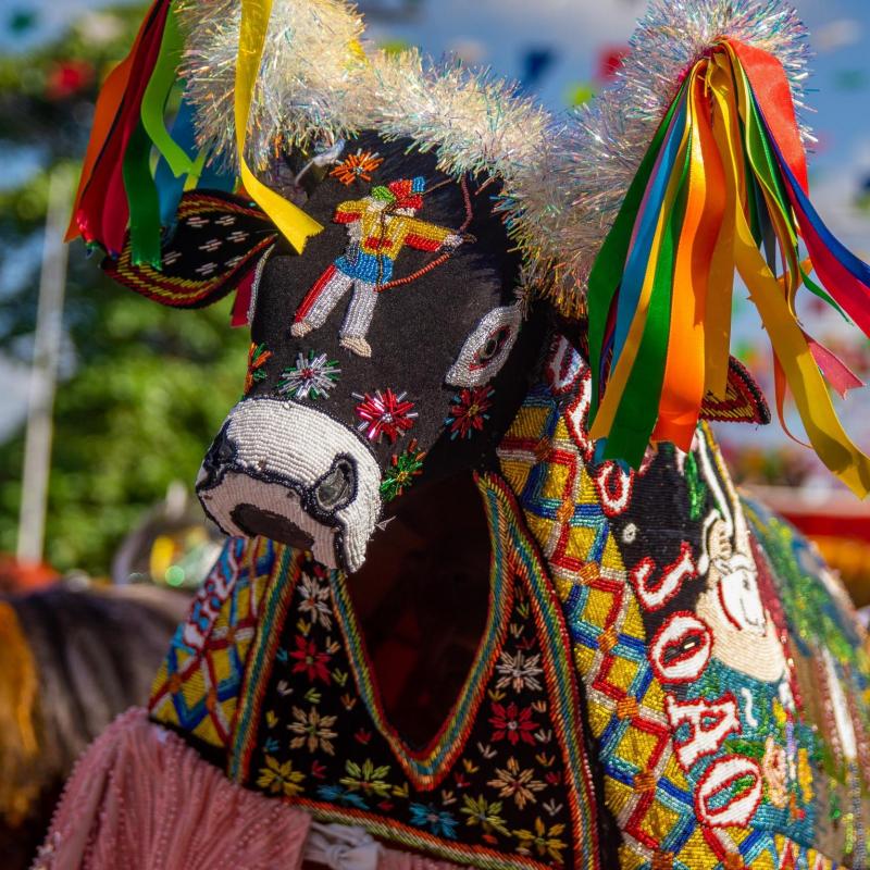La procession du Boï - restitution