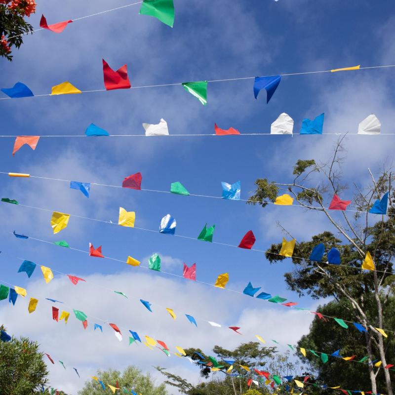 Défilé carnavalesque