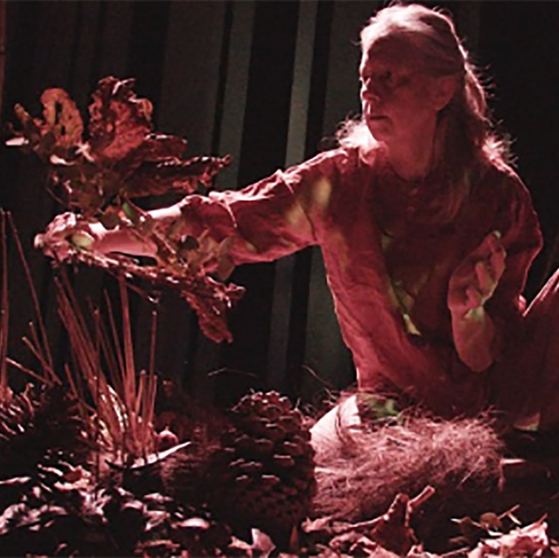 S'enforester